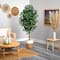 6ft. Ficus Artificial Tree with Natural Trunk in Handmade Natural Jute and Cotton Planter
